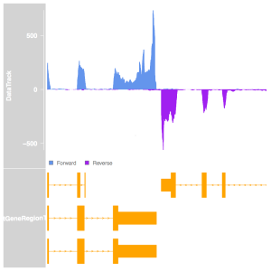Strand specific coverage can be plotted in a Gviz data track using using a custom import function. The top track contains the per-base coverage with reads from the forward strand in blue and reads from the reverse strand in purple. The bottom track shows the genomic context of the reads with exons in thick lines, introns as thin lines as the direction of transcription indicated by the arrows on the think lines. Here the two genes are on opposite strands and are transcribed toward each other, making for a nice example.